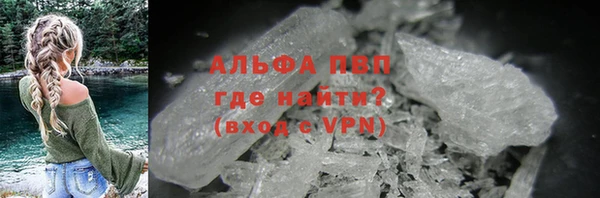 гашик Алексин