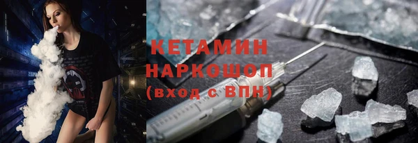 гашик Алексин