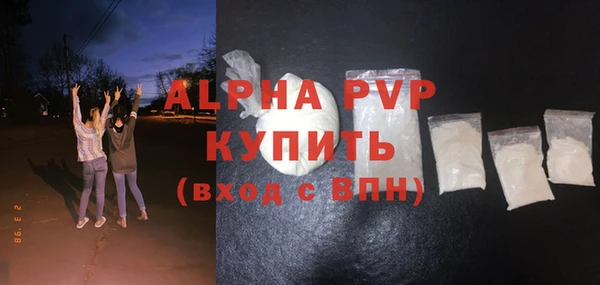 гашик Алексин