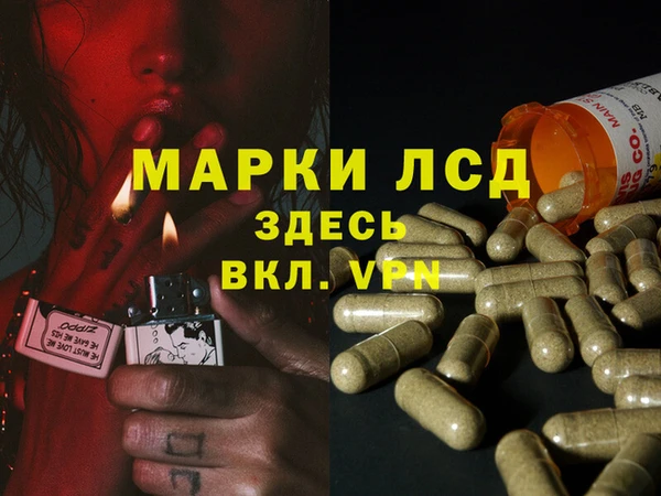 гашик Алексин
