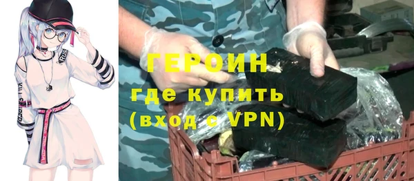 гашик Алексин