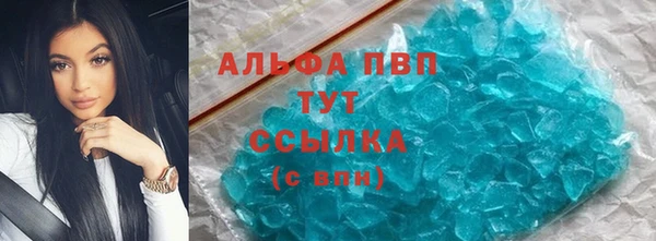 гашик Алексин