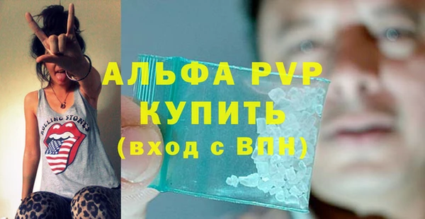 гашик Алексин