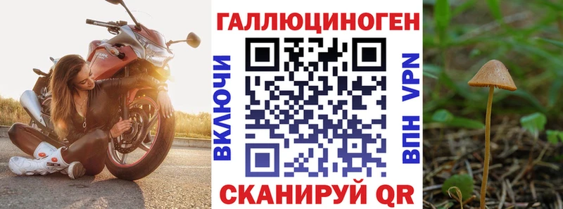 МЕГА маркетплейс  продажа наркотиков  Кумертау  Псилоцибиновые грибы прущие грибы 